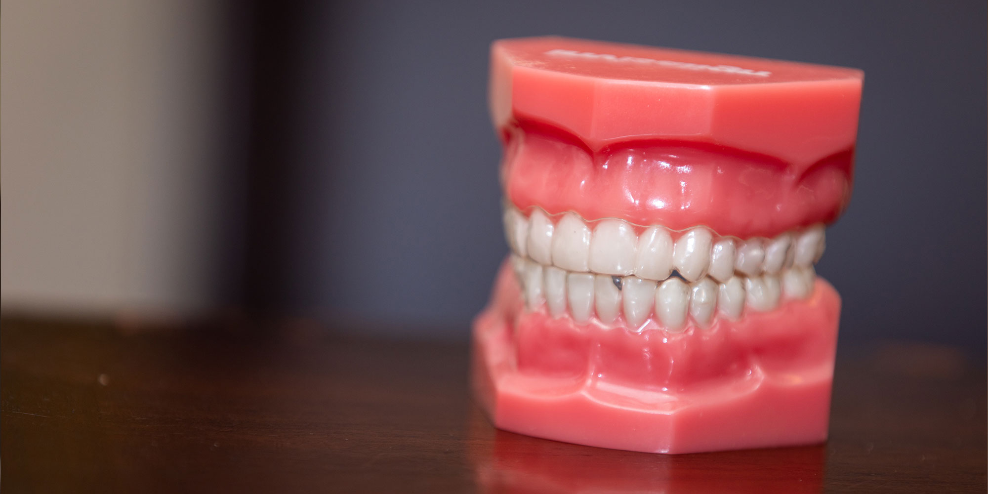 close up of dentures model