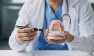 A person in a white coat holds a dental model with upper and lower teeth, pointing at it with a pen to demonstrate oral health or dental care. The face is not visible.