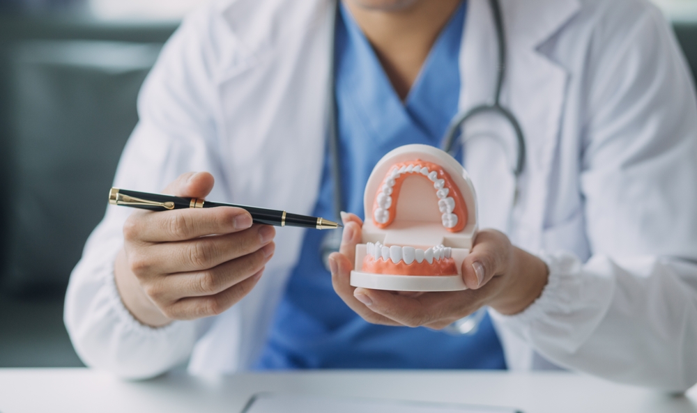 A person in a white coat holds a dental model with upper and lower teeth, pointing at it with a pen to demonstrate oral health or dental care. The face is not visible.